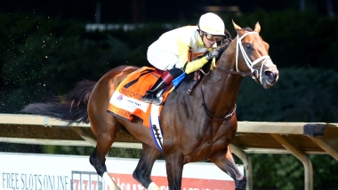 Skippy Longstocking and Jockey Racing