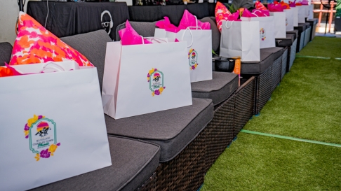VIP Experience bags on couches, with green turf flooring and gray couches