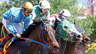 Three horses and jockeys up close racetrack