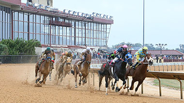 Horses track running racing